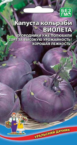 Капуста кольраби ВИОЛЕТА  Любимица огородников за вкус, урожай и лёжкость!