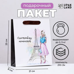 Пакет ламинированный вертикальный «Романтика Парижа», 21×25×8 см