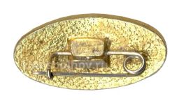 Значок Славич