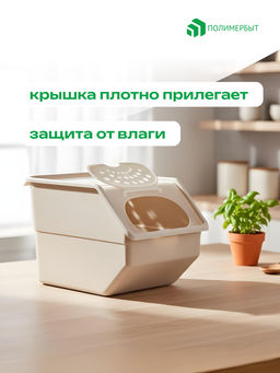 Контейнер для овощей 11,2л 21,7*32,3*22см бежевый - Полимербыт фото 4