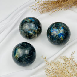 Шар из Лабрадора