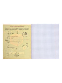 Цена за 10 шт. Предметная тетрадь по геометрии Calligrata «Пиксели», 36 листов, в клетку, со справочным материалом, обложка из мелованного картона