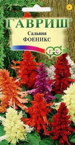 Феникс сальвия смесь 0,05г (г)