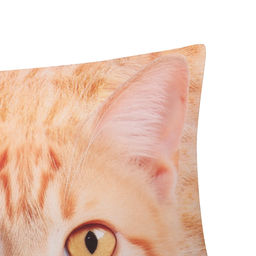 Подушка декоративная Рыжик - Этель фото 2