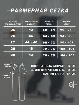 Женские джинсы прямые тонкие CRACPOT 1607