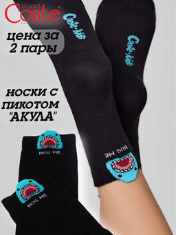 Цена за 2 пары. Носки классические CONTE-KIDS TIP-TOP Носки детские