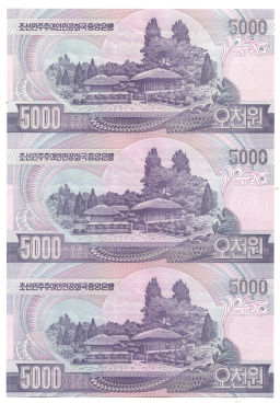 Банкнота 5000 вон 2006 года Северная Корея  Лист из трех банкнот
