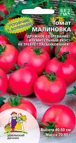 Томат МАЛИНОВКА В Малиновке не только свадьбы, но и вкусные томаты! Изумительный вкус! Устойчив к болезням! Не пасынкуется!