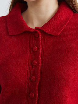 Kad?n Polo Yaka K?sa Kollu D??meli Triko H?rka