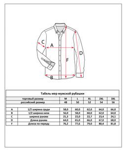 Рубашка мужская джинсовая с длинным рукавом F311-1241 голубая