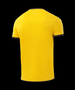 Футболка волейбольная JOGEL CAMP, желтый  фото 3