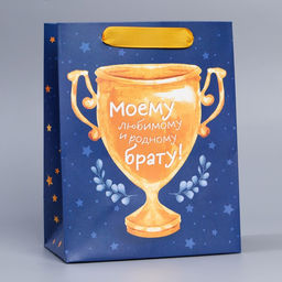 Пакет ламинированный вертикальный Брату, MS 18 23 10 см