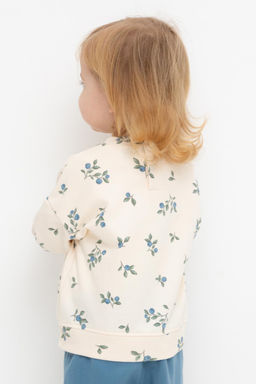 Crockid _ КР 302308/айвори,голубика к561 джемпер (свитшот) д/дев яс  фото 5