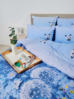 КПБ бязь Премиум - Одуванчики 1.5 сп. (нав.70х70)