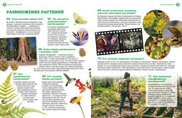 Наша планета: загадочные и удивительные факты. - Махаон фото 5