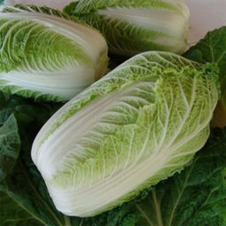 5136D Капуста пекинская Медалист F1 10шт