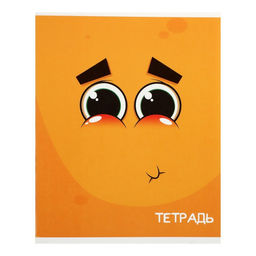 Комплект тетрадей из 10 штук (5 видов по 2 штуки), 48 листов в клетку Calligrata Смайлики, обложка мелованный картон, блок офсет фото 6