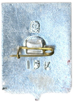 Значок Ижевск