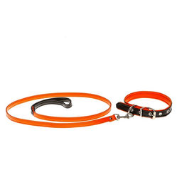 Комплект ошейник (58х2.5 см) и поводок (130х1.4 см) из экокожи, чёрный с оранжевым - Пушистое счастье фото 5