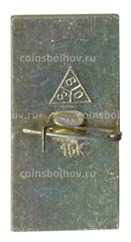Значок Владимир