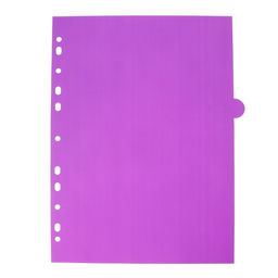 Цена за 2 шт. Разделитель листов A4 (245×305 мм), цветовой, 12 листов, «deVENTE. Pastel», полипропилен 140 мкм, индивидуальная упаковка