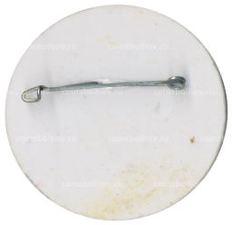 Значок Ленинград -системотехника -71