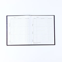 Дневник школьный для 1-11 класса, в твердой обложке, 40 л. «Неон»