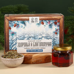 Подарочный набор новогодний Тайны матушки зимы: сбор трав 3 шт. ? 20 г, варенье из сосновых шишек, 100 мл.