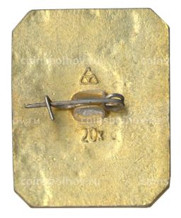 Значок Владимир