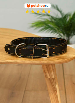 Ошейник для собак, с клепками, 3,5 см, экокожа, цвет в ассортименте PS193