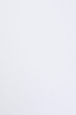 Erkek Slim Fit Polo Yaka Beyaz Basic Ti__rt