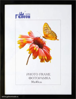 Фоторамка 30x40 / 2004D-012C /