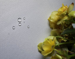 Арт. 13070/1/PB/170, МОРОЗКО, цвет белый, тефлоновая пропитка, ГОТОВЫЕ СКАТЕРТИ ширина 180 см x высота 130 см