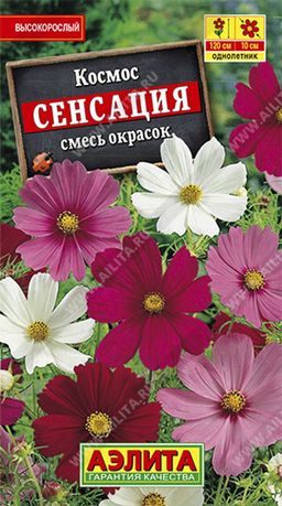 Космея Сенсация, смесь сортов