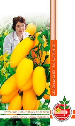 Томат КАНДИНСКИЙ коллекция Татьяны Штайнерт Авторская селекция