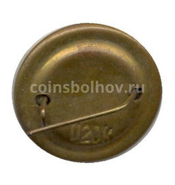 Значок Пицунда  Храм XI века