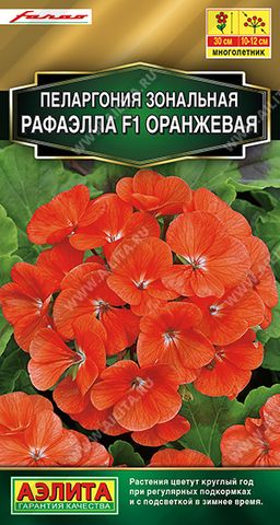 Пеларгония Рафаэлла F1 оранжевая