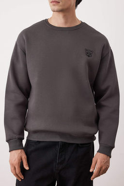 Antrasit Oversize/Genis Kesim Pamuklu Basic Ici Polarl? Kal?n Nak?sl? Sweatshirt TMNAW25SW00011