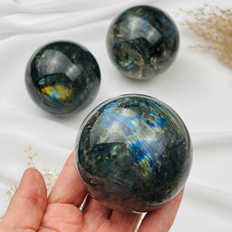 Шар из Лабрадора