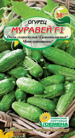 Муравей F 1 огурец 7шт (ссс) Р