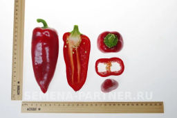 Перец сладкий Лакшери - Партнер фото 5