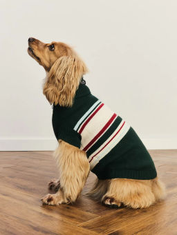 джемпер (попона) для животных / Zarina  фото 2