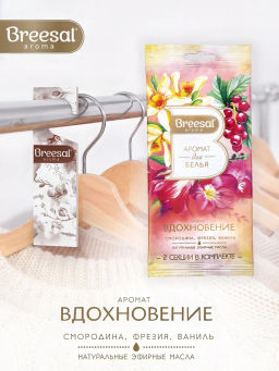 Цена за 4 шт. Breesal Декоративный ароматизатор Арома Арт Вдохновение, аромат для белья 2 секции  фото 3