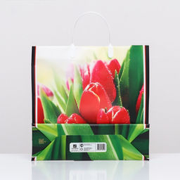 Цена за 10 шт. Пакет Чудесные тюльпаны, мягкий пластик, 30?30 см 120 мкм