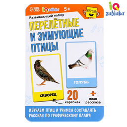 Развивающий набор Перелётные и зимующие птицы