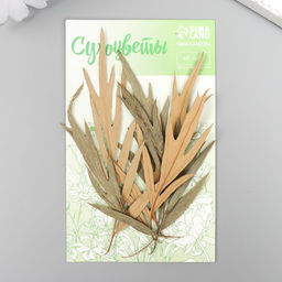 Цена за 6 шт. Сухоцвет Лист полыни горькой бежевый h=5-8 см - Арт узор фото 4