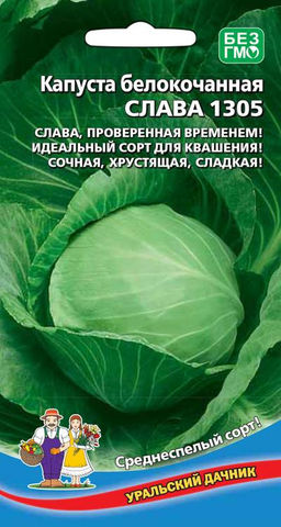 Капуста СЛАВА 1305