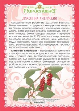 Лимонник китайский (ягоды) - Мариславна фото 2