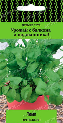 Кресс-салат Темп (сер.Четыре лета) (А) (ЦВ) 1 гр.
