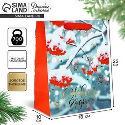 Пакет подарочный новогодний ламинированный «С Новым годом», MS 23×18×10 см